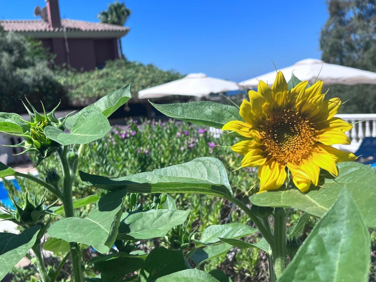 B&B Villa Michieli Marbella Zewnętrze zdjęcie